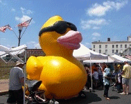 Quack   Quack